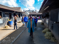 PN030422-173 - Paul Nicholls Stable Visit